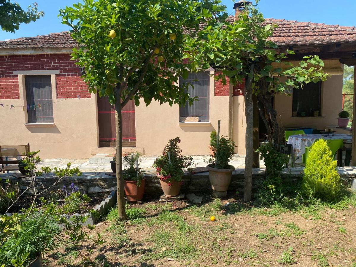 Tilemvi Seaside House Milina Pelion!!! Villa Koukouleika Bagian luar foto
